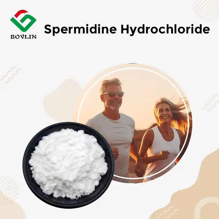 Spermidine Hydrochloride Spermidine Hydrochloride